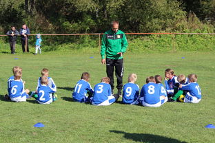 mk体育app-中国足球战术模块组合搭配分析，国足战术风格